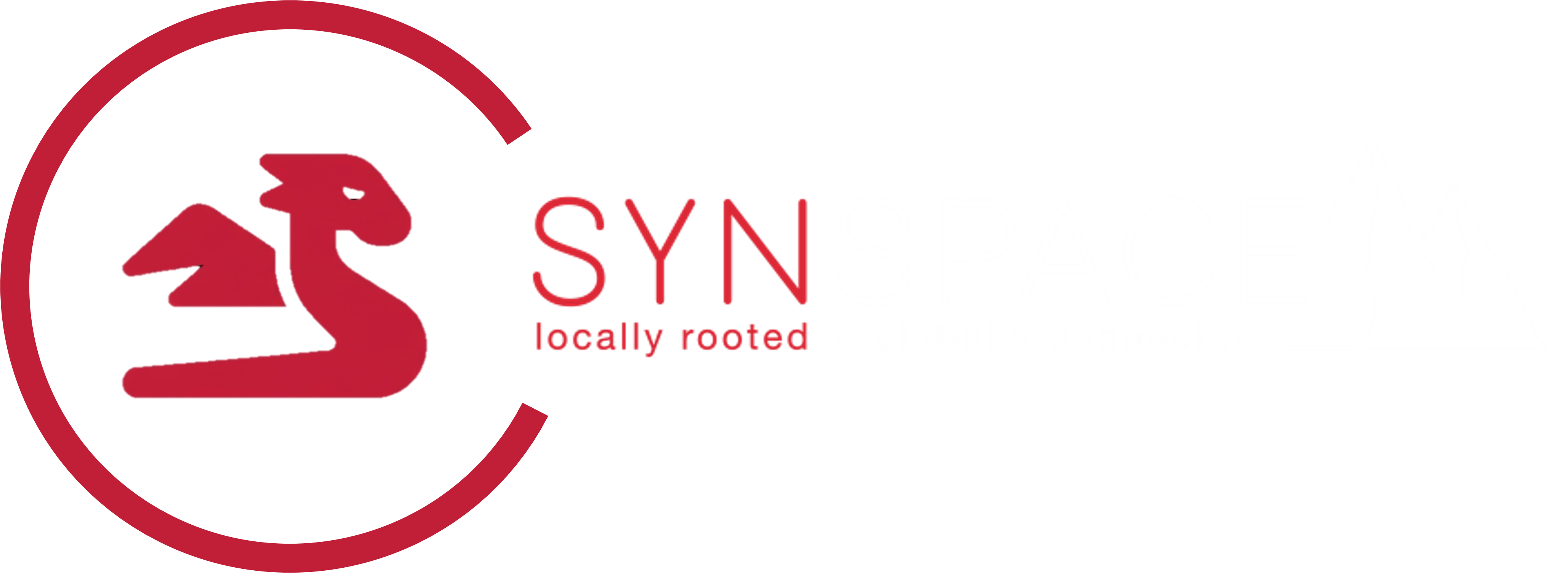 Logo SYNSPACE Switzerland with dragon